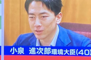 【悲報】小泉レジ袋郎さん、終わるｗｗｗｗｗｗｗ