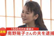 【悲報】南野陽子さんの夫、逮捕されてしまう…旦那の今回の逮捕容疑、過去の横領・傷害・金銭トラブルとは…