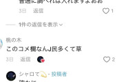【悲報】TikTokのコメント欄、地獄
