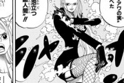 【画像】ワンピースのこのページでシコってたやつｗｗｗｗｗｗ