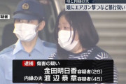 【画像】娘をエアガンで暴行した26歳の若ママ、逮捕される