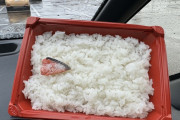 【画像】日本の弁当ここまで貧しくなるｗｗｗｗｗｗｗｗｗｗｗ