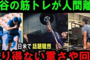 大谷誠也「体型変わるくらい鍛えてHR打ちます」NPBの選手「ヒョロガリのままです」←コレw