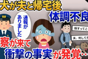 【2ch修羅場】愛犬は夫といるとおとなしい。ある時、散歩から帰ってくると犬の元気がない。直後に警察が訪問→衝撃の事実が発覚し…【2chスカッと・ゆっくり解説】