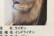 【画像】動物園さん、紹介文が雑過ぎて誤解を生んでしまう・・・
