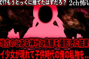 【2ch怖いスレ】中部地方のとある神社と鳥居を撮影した結果、ヤバイ少女が現れて子供時代の俺の私物を…【ゆっくり解説】