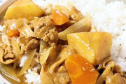 島耕作「田舎の母親が作ったカレーよりプロが作ったカレーの方が絶対旨いに決まってるだろ」