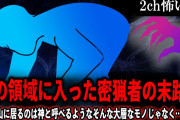 【2ch怖いスレ】神の領域に入った密猟者の末路「その山に居るのは神と呼べるようなそんな大層なモノじゃなく…」【ゆっくり解説】