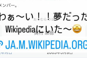 【画像】巨乳アイドル、自身のＷｉｋｉｐｅｄｉａが出来てはしゃぐｗｗｗｗ