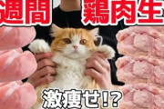 【悲報】ダイエットさん、鶏肉を食べるだけで痩せてしまう