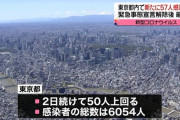 【画像】半年前の東京がこちらｗｗｗｗｗｗｗｗｗｗｗｗｗ