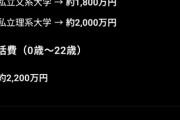 【画像】子供一人にかかるお金、4000万円ｗｗｗｗｗｗｗｗｗ