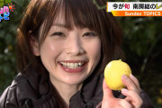 【画像】TBS天気予報で奈良岡希実子さんのおっぱいの形ハッキリたまらん