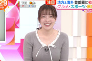 【画像】めざどの阿部華也子アナ、乳がすっごい