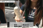 【画像】女の子「理想のペ二スサイズがコレ(笑)」嘘だろｗｗｗｗｗｗｗｗｗｗｗｗｗ
