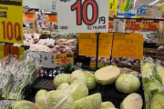 【悲報】大阪民国さん、キャベツを10円で売ってしまうｗｗｗｗｗ