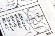 ワイ「このマンガ面白いなあ」作者「ここでワイの偏った思想や説教入れたろw」