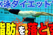 水泳がダイエットに最強の運動という風潮ｗｗｗｗｗｗｗｗｗ