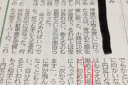【悲報】老人さん「レジで1円玉75枚を出しての買い物など、彼らの了見に入っていないのだ」