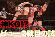 【悲報】女子プロレスラーさん、予想以上に激しかった
