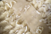 【画像】エースコックのラーメンの中に虫が大量にいる！！！！！！