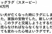 【狂気】ツイカス「死んだイッヌ"ラグ"にしたけど新イッヌが交尾しようとするから売るわw」< ﾊﾟｼｬｯ☆