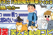 【2ch面白いスレ】犬、猫の3人で散歩する事が多かったんやけど･･ 動物編#21 笑えるショートコピペ#36【2chまとめ#81】