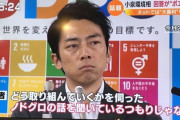 【朗報】小泉環境大臣さん「2050年までに日本のCO2の排出ゼロにする」
