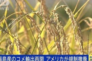福島産コメの輸出可能に・・・アメリカが輸入規制を撤廃(2021年9月24日)