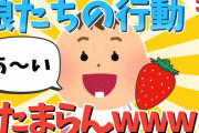 【2ch面白いスレ】娘たちの行動がたまらんwww３話【ゆっくり解説】