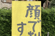 【緊急悲報】東大で反ルッキズム派vsルッキズム派の争いが勃発！両者怒りの立て看板設置バトルへ