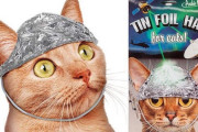 大切な飼い猫を電磁波や思考盗聴から守ろう。猫用アルミホイル、ついに誕生