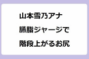 山本雪乃アナ｜臙脂ジャージで階段上がるお尻＆エアコン掃除お尻！助っ人にゆき～のGIF
