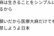 依存症まんさん「日本でも大麻解禁してよぉぉぉ?（ﾊﾟｼｬｯ）」