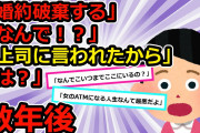 【スカッと】婚約者「結婚は墓場だから婚約破棄する」私「そんな…」数年後、元婚約者から結婚してほしいと連絡。実は【2chスレゆっくり解説】【4本立て】