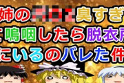 【2ch面白いスレ】姉のパ〇2臭すぎて嗚咽したら脱衣場にいるのバレた件【ゆっくり】