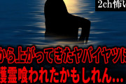 【2ch怖いスレ】海から上がってきたヤバイヤツに、守護霊喰われたかもしれん…【ゆっくり解説】