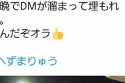 【悲報】へずまりゅうさん、飯塚幸三に凸ろうとしていた