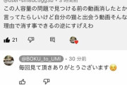 【悲報】海で溺れてる子猫を助けたYoutuber、反撃開始ｗｗｗｗ