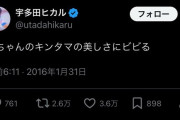 【画像】宇多田ヒカルさん、過去のヤバイ投稿を掘り起こされてしまう