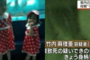 【口減らし】子供2人車内放置まん、最初の発言は全部ウソだった
