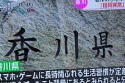 【画像】香川のガキ、デブだらけ　一体なぜ
