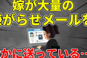 【2ch修羅場スレ】明かされる本性　嫁が誰かのネットストーカーをしている件【ゆっくり】