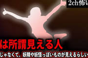 【2ch怖いスレ】嫁は所謂見える人「幽霊じゃなくて、妖精や妖怪っぽいものが見えるらしい」【ゆっくり解説】