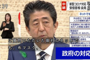 【画像】朝日記者「布マスクなんかいらなくね？」安倍ちゃん「御社の通販サイトで3300円で売ってますよね」