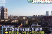 【悲報】??フランスのDVレベルが違うｗｗｗｗ