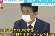 EXIT兼近「マスク2枚の政治を批判できるほど、若者って真剣に政治と向き合って参加してたかな？」