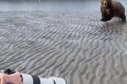 【動画】陽キャさん、ノーダメで暴れクマを完全撃退wwwwwwwwwwwwww