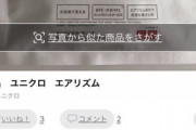 【悲報】ユニクロのマスク、4100円で落札されてしまう