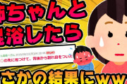 【2ch面白スレ】30歳の姉と混浴に入った結果ｗｗｗ&姉がテニプリ破産した話【二本立て】【ゆっくり解説】